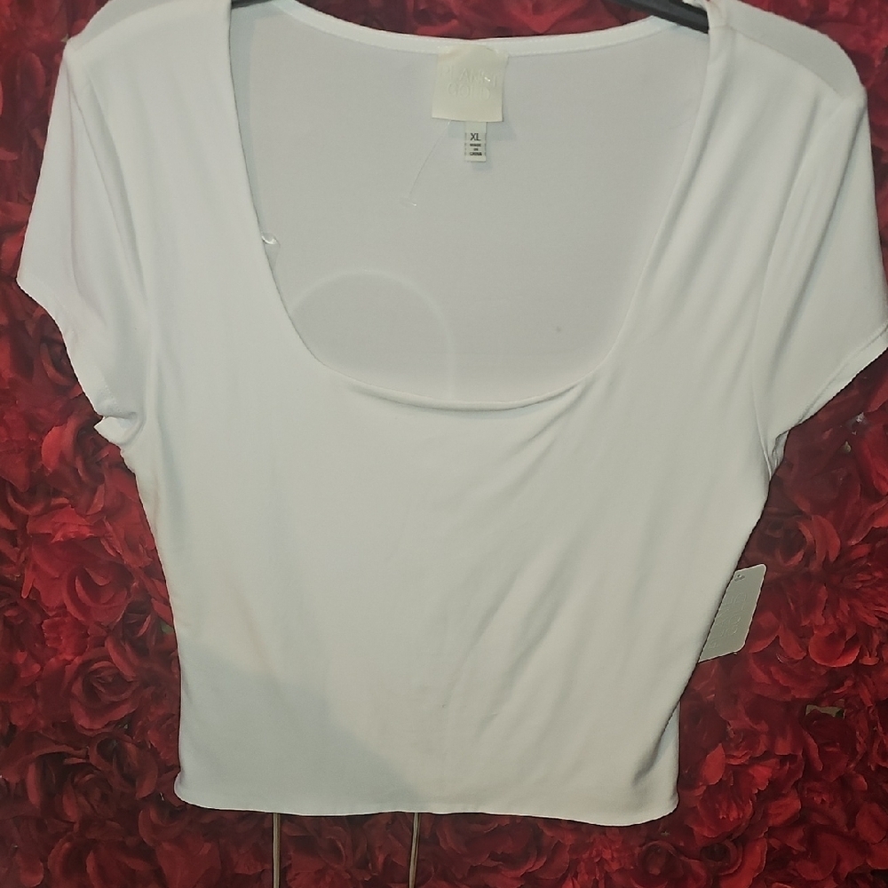 Planet Gold NWT White Fitted Crop Top Size XLarge
